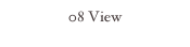 08 View